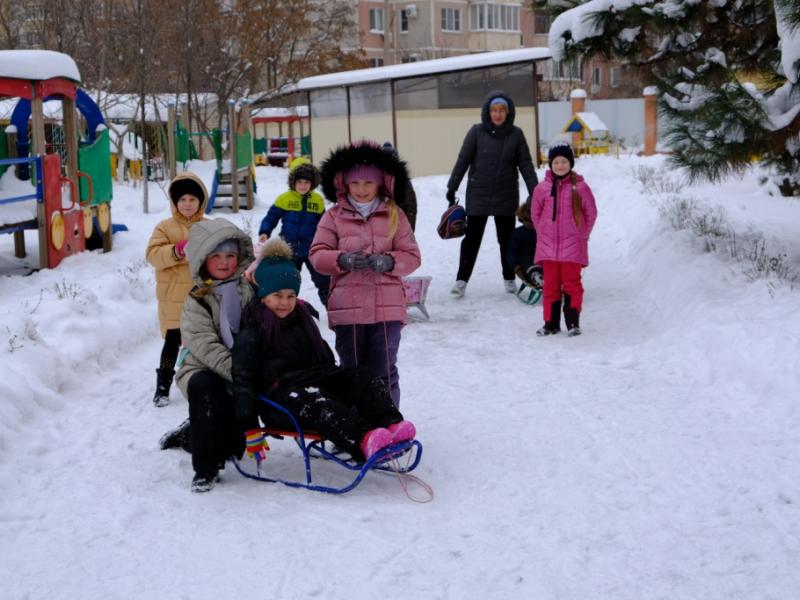 Зимняя прогулка