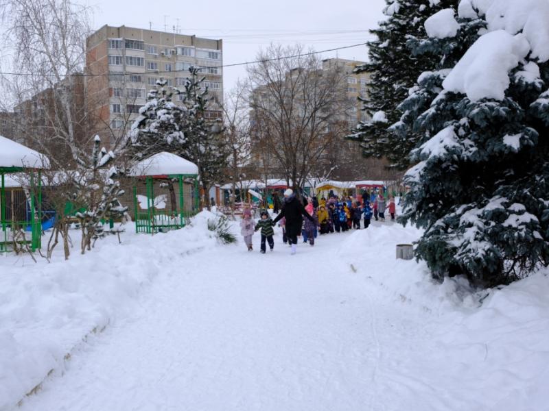 Зимняя прогулка