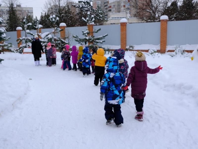 Зимняя прогулка