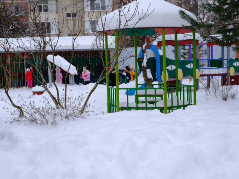 Зимняя прогулка