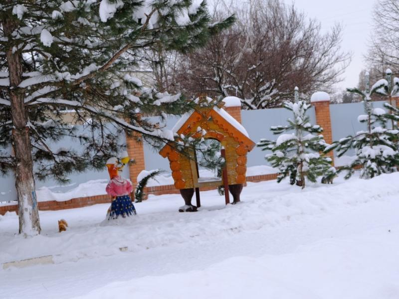 Зимняя прогулка